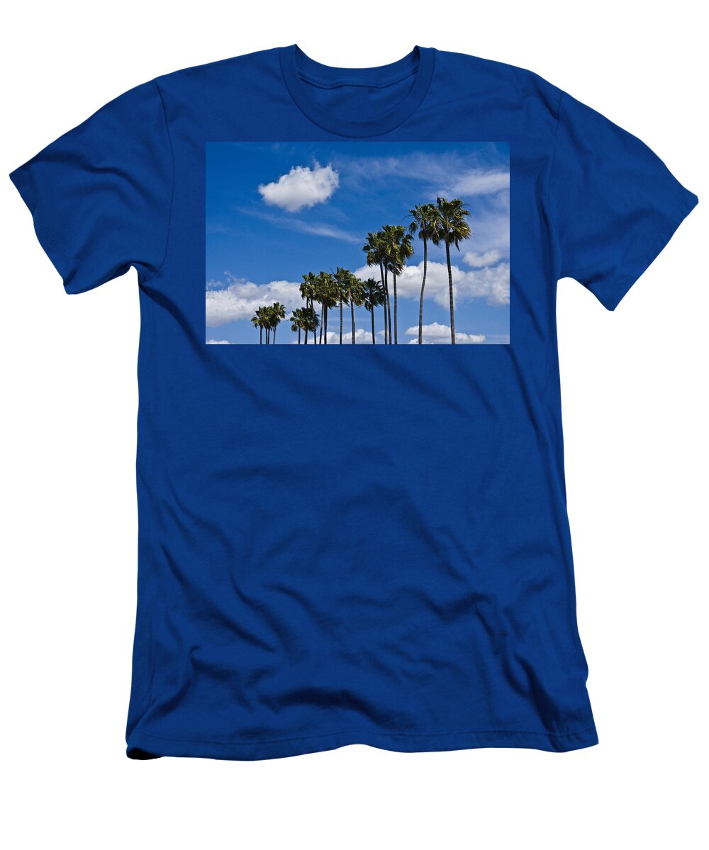 Tree T-Shirt featuring the photograph Palm Trees in San Diego California No. 1661 by Randall Nyhof