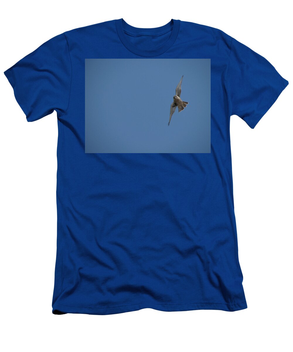 Prairie T-Shirt featuring the photograph Prairie Diver by Darcy Tate