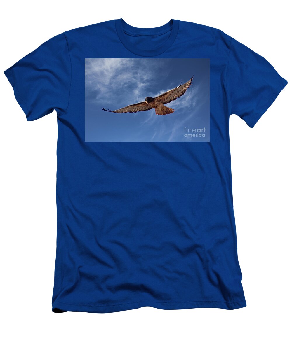 Colorado T-Shirt featuring the photograph Red Tailed Hawk by Bob Hislop