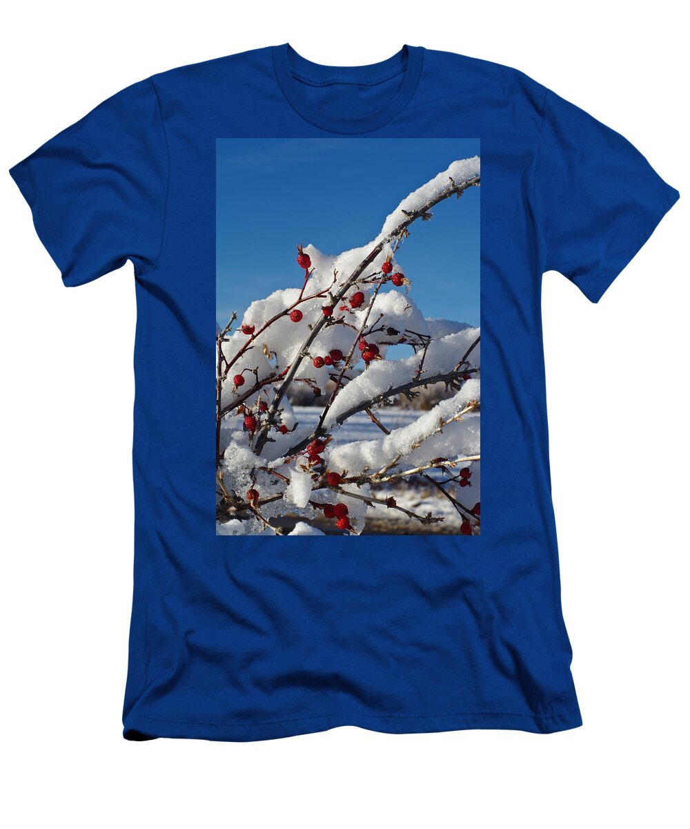 Colorado Photographs T-Shirt featuring the photograph Rose Hips On Ice by Gary Benson