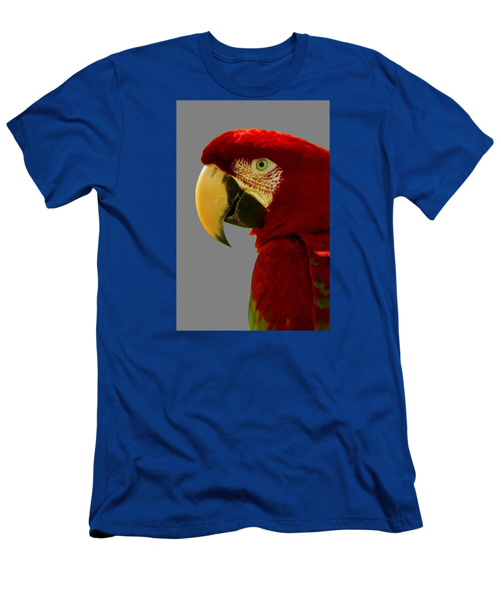 Macaw T-Shirt featuring the photograph Scarlet Macaw by Bill Barber