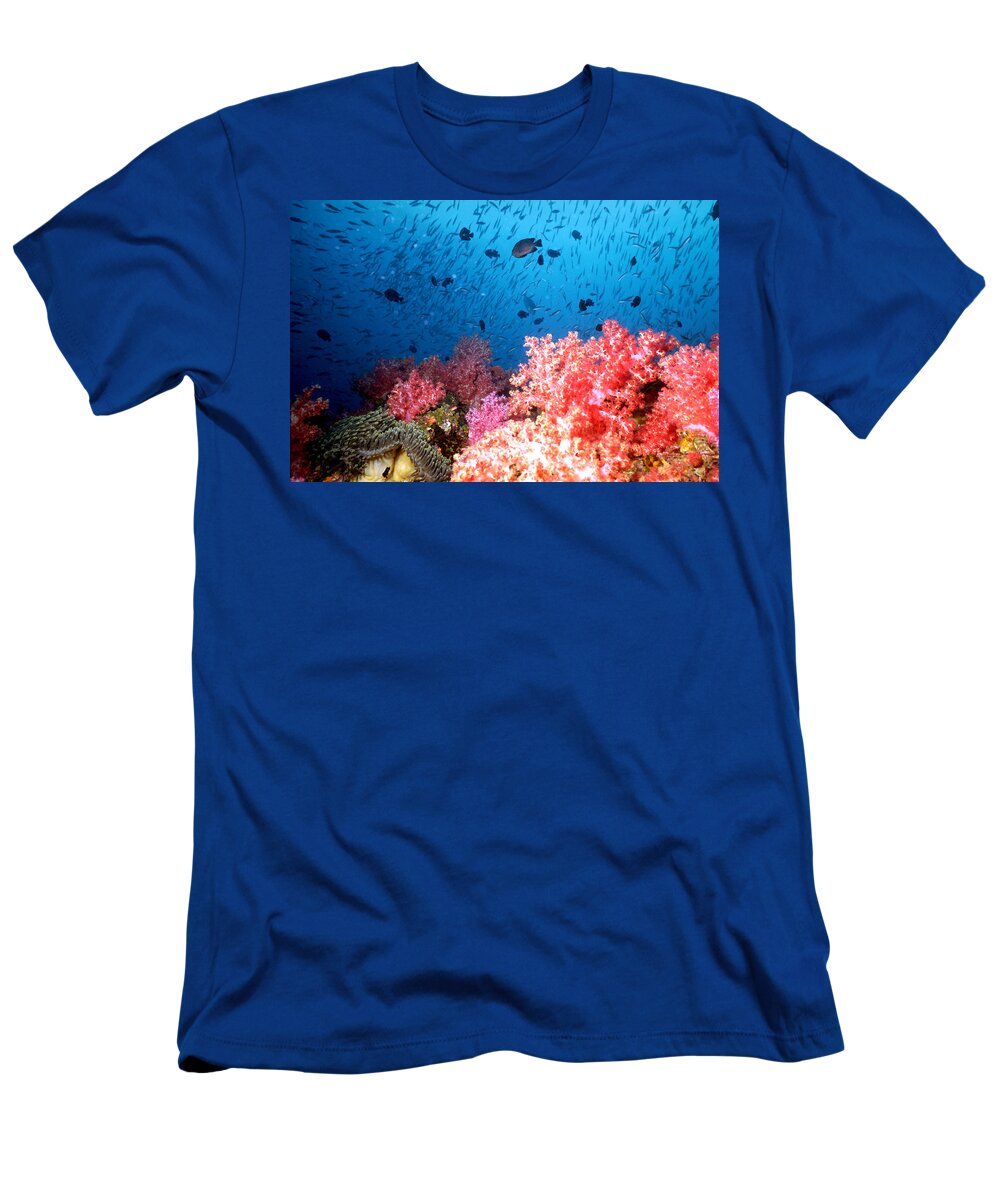 Andaman Sea T-Shirt featuring the photograph Schools Of Tropical Fish by Greg Ochocki
