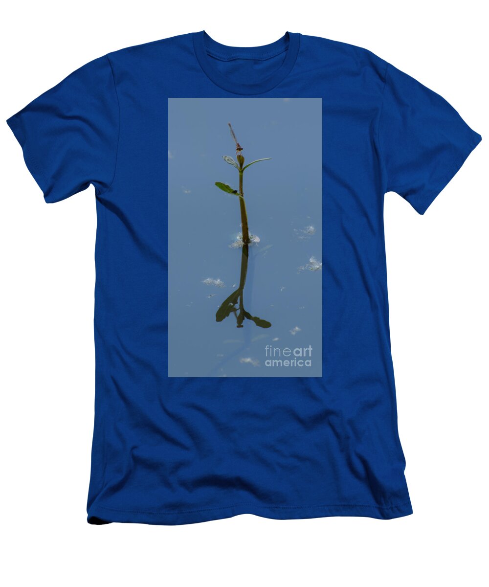 Dragonfly T-Shirt featuring the photograph Shadow In The Water by Donna Brown