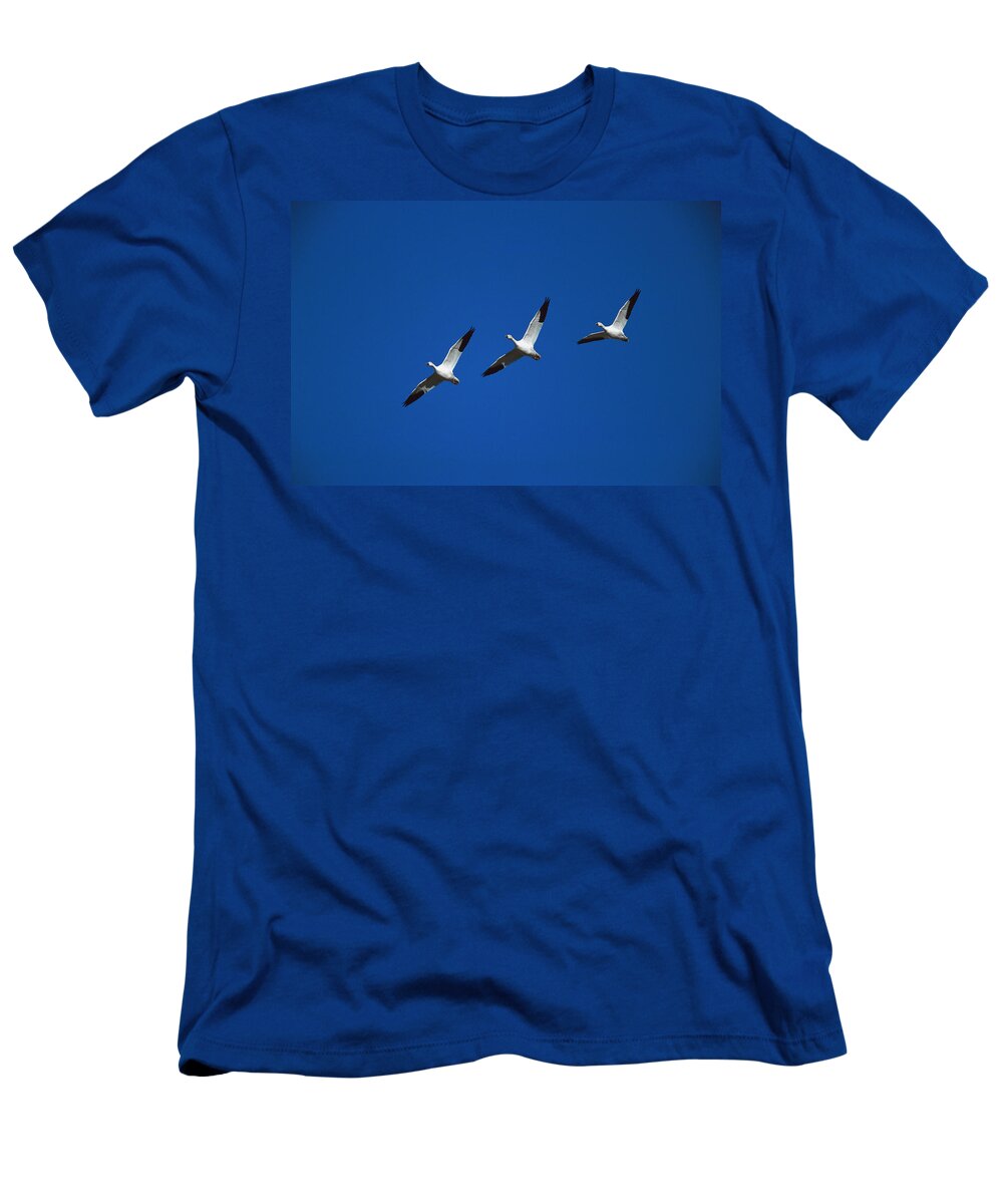 Feb0514 T-Shirt featuring the photograph Snow Geese In Formation New Mexico by Tom Vezo