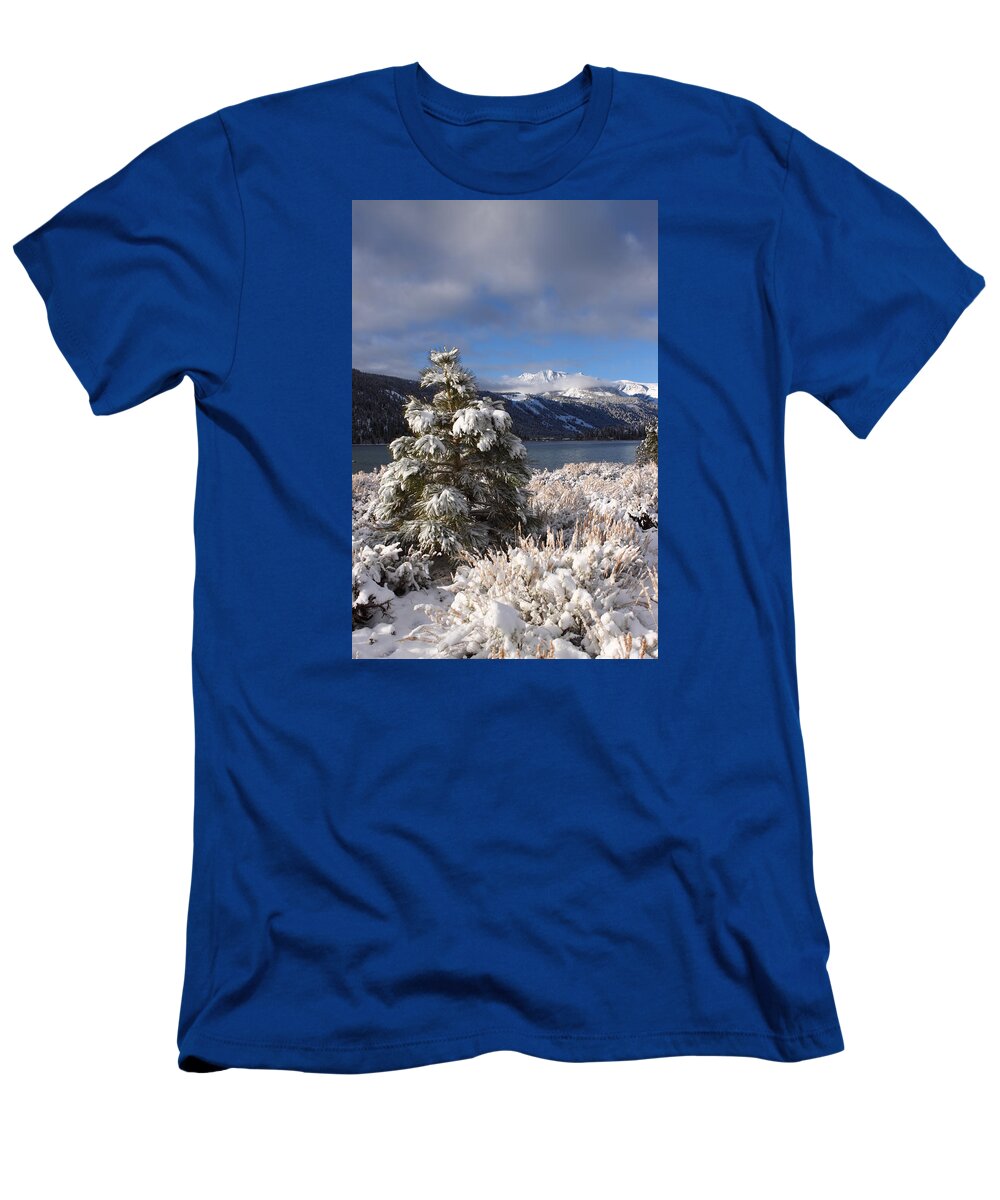 Snow T-Shirt featuring the photograph Snowy Pine by Duncan Selby