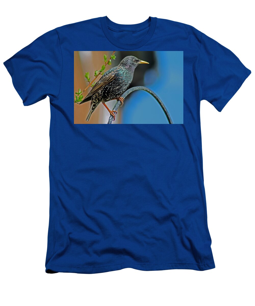 Starling T-Shirt featuring the photograph Starling perched in garden by Tony Murtagh