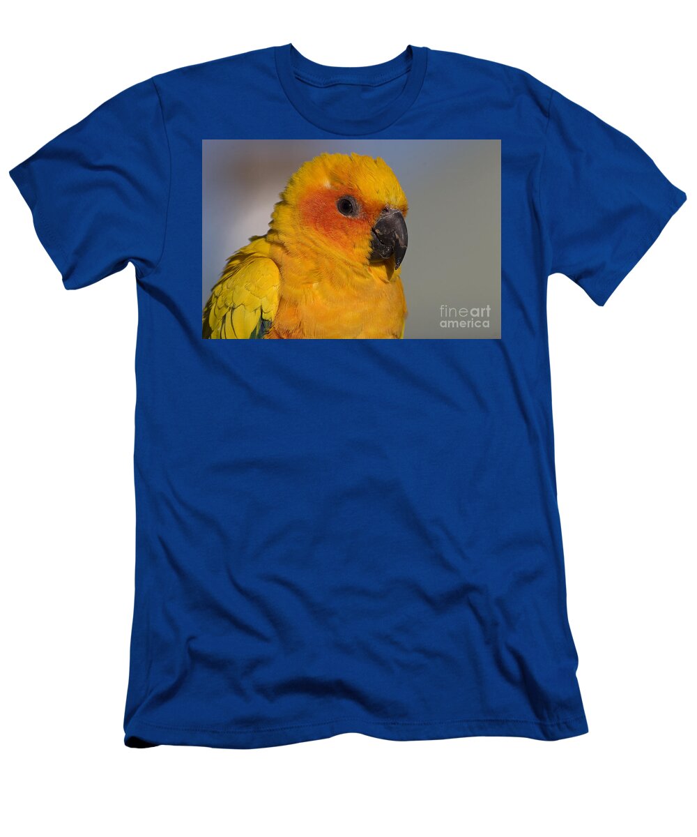 Parrot T-Shirt featuring the photograph Sun Conure by Steven Ralser