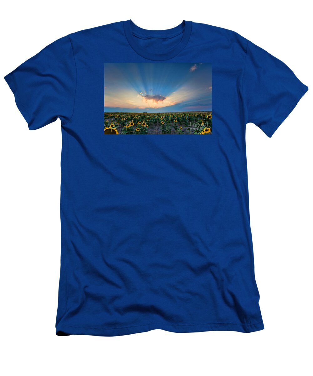 Flowers T-Shirt featuring the photograph Sunflower Field at Sunset by Jim Garrison