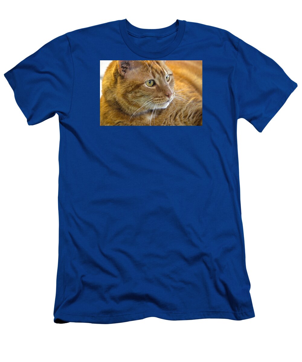 Cat T-Shirt featuring the photograph Tabby Cat Portrait by Sandi OReilly