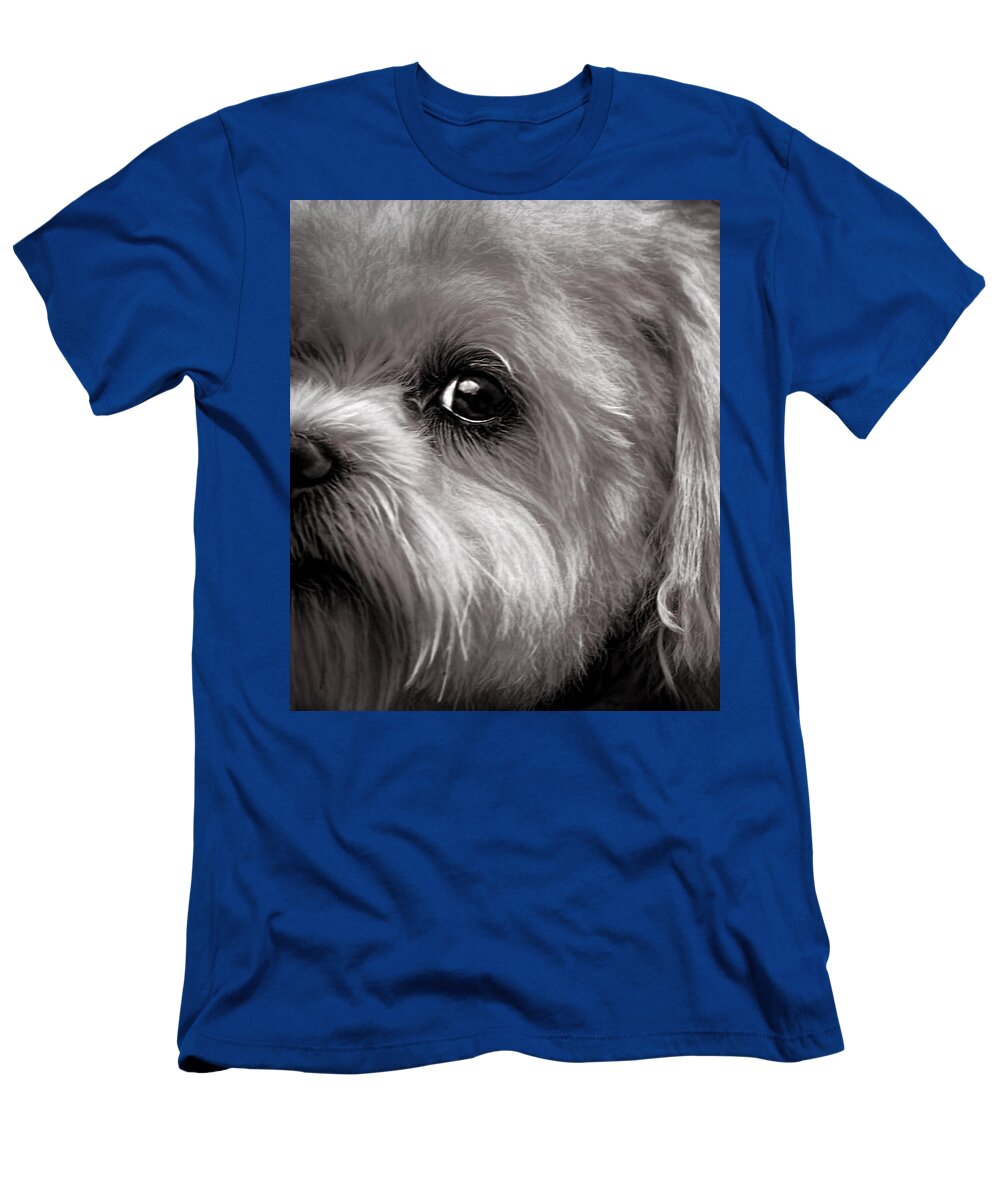 Dog T-Shirt featuring the photograph The Dog Next Door by Bob Orsillo