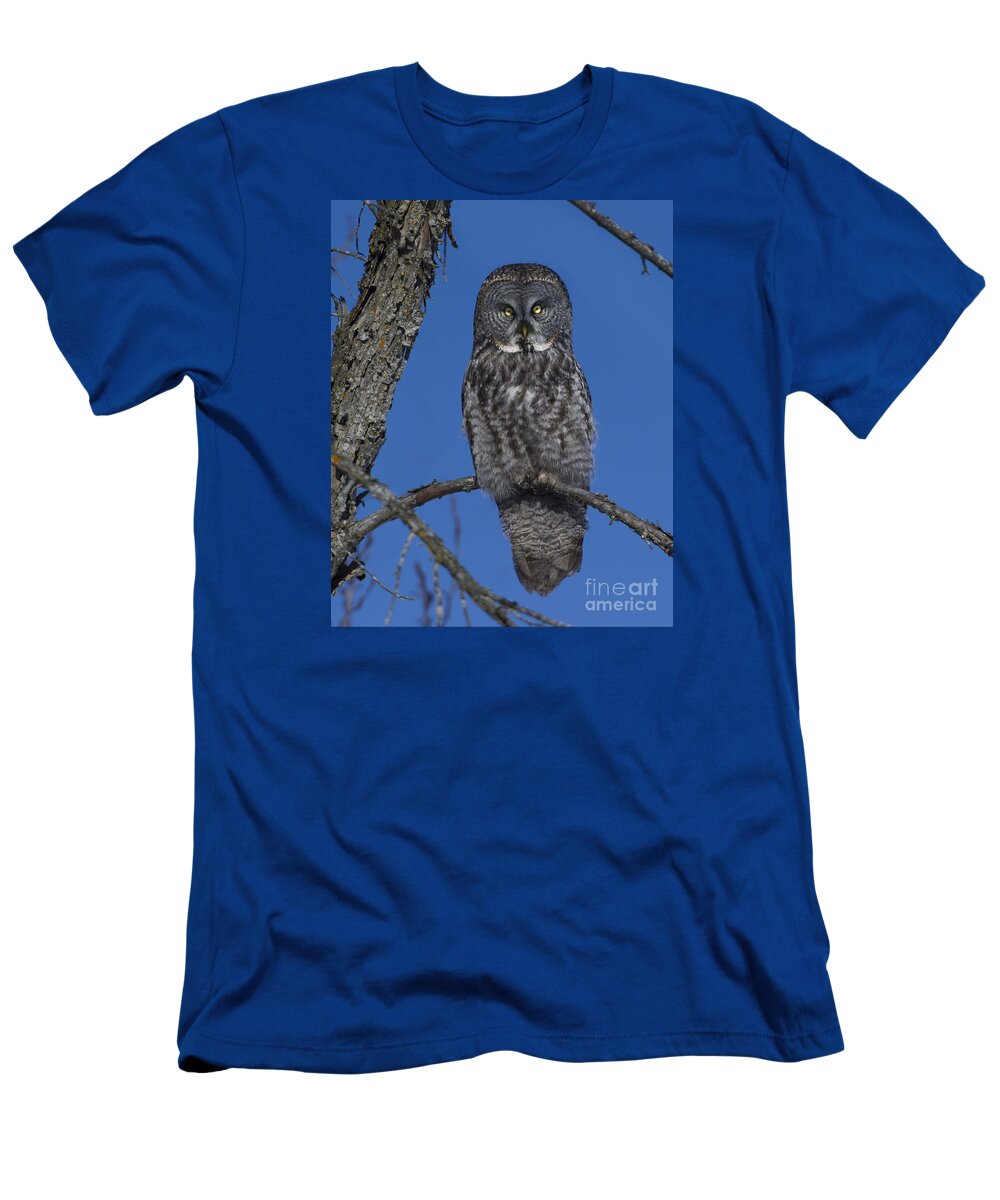 Festblues T-Shirt featuring the photograph The Great Gray... by Nina Stavlund