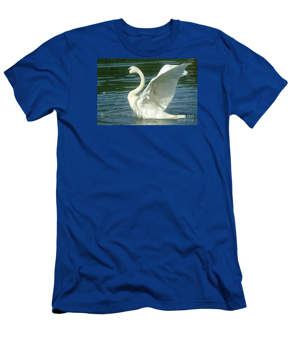 Swans T-Shirt featuring the photograph The Swan Rises by Jeff Swan