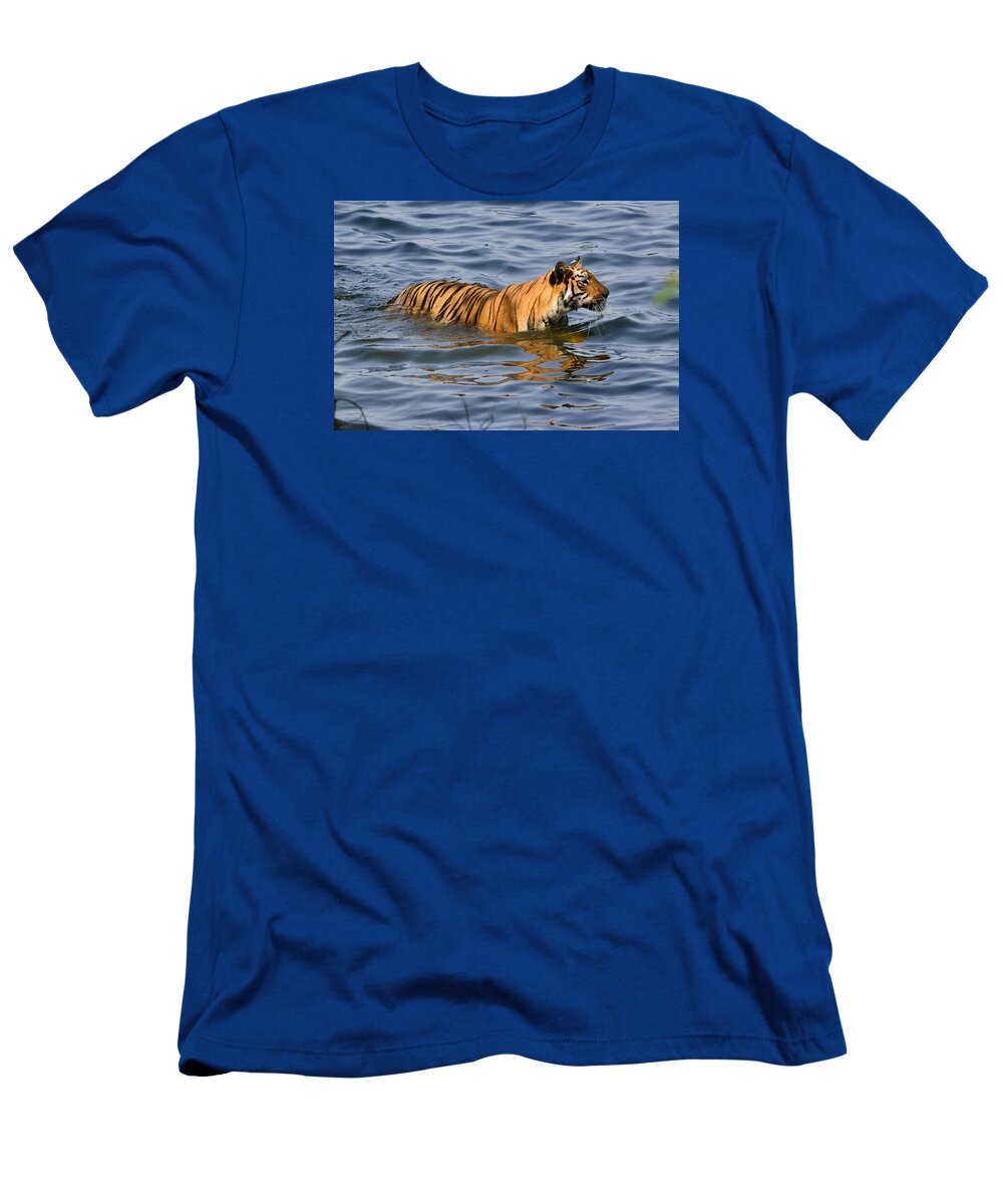 Wildlife T-Shirt featuring the photograph Tigress of the Lake by Fotosas Photography