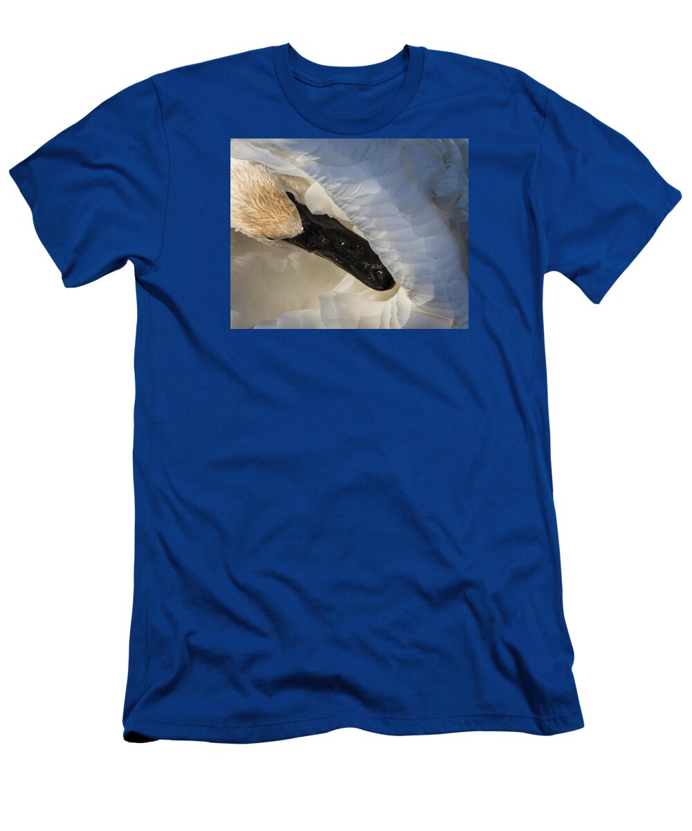 Swan T-Shirt featuring the photograph Trumpeter Swan - Safe Place by Patti Deters