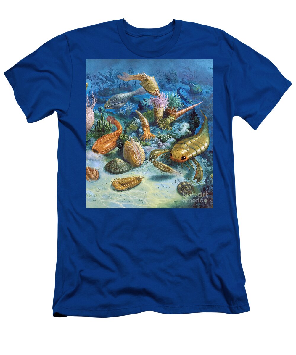 Illustration T-Shirt featuring the photograph Underwater Life During The Paleozoic by Publiphoto