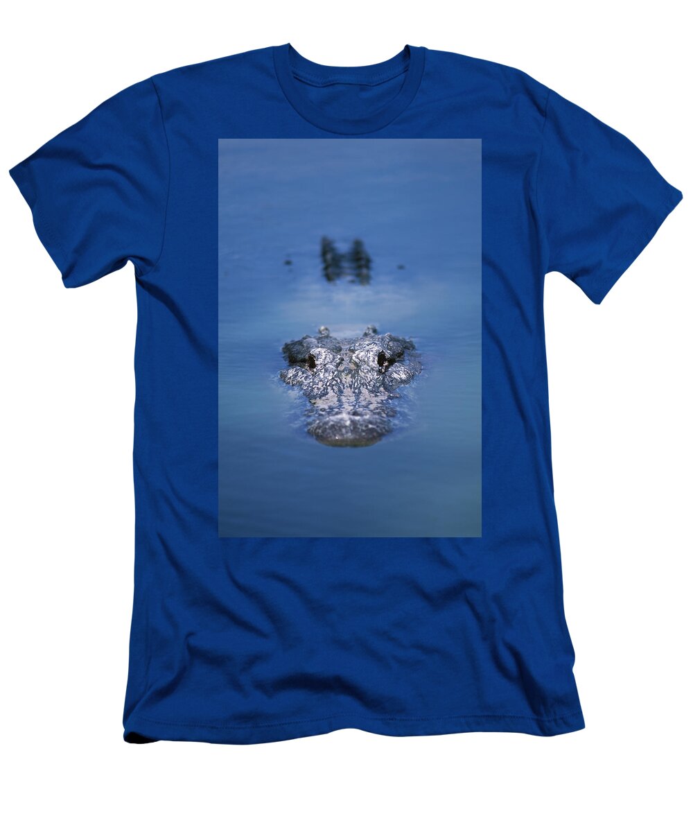 Alligator T-Shirt featuring the photograph Usa Florida Collier County Big Cypress by Sean Arbabi