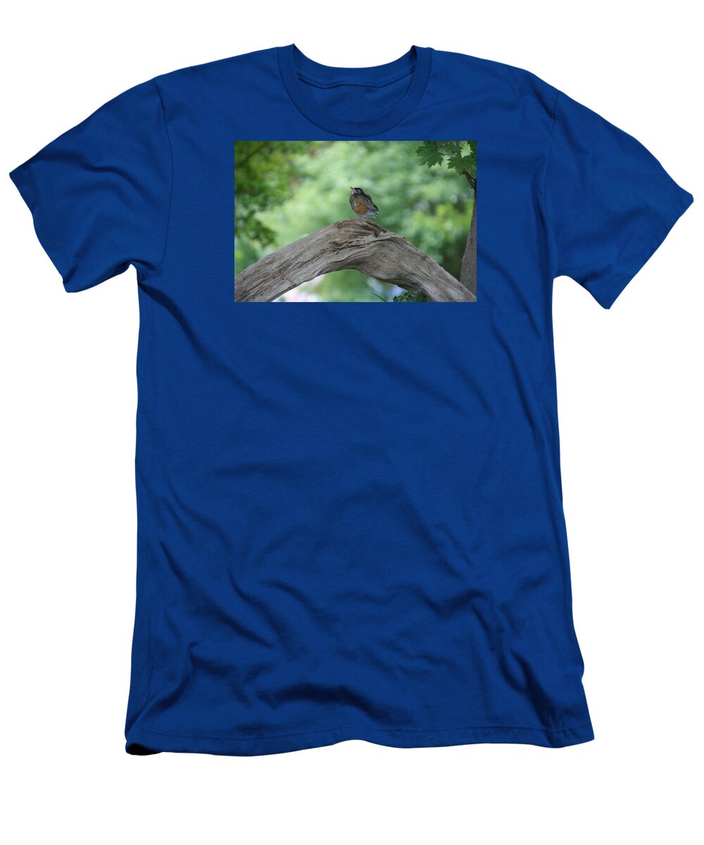 Bird T-Shirt featuring the photograph Baby Robin Waiting for Mom by Valerie Collins