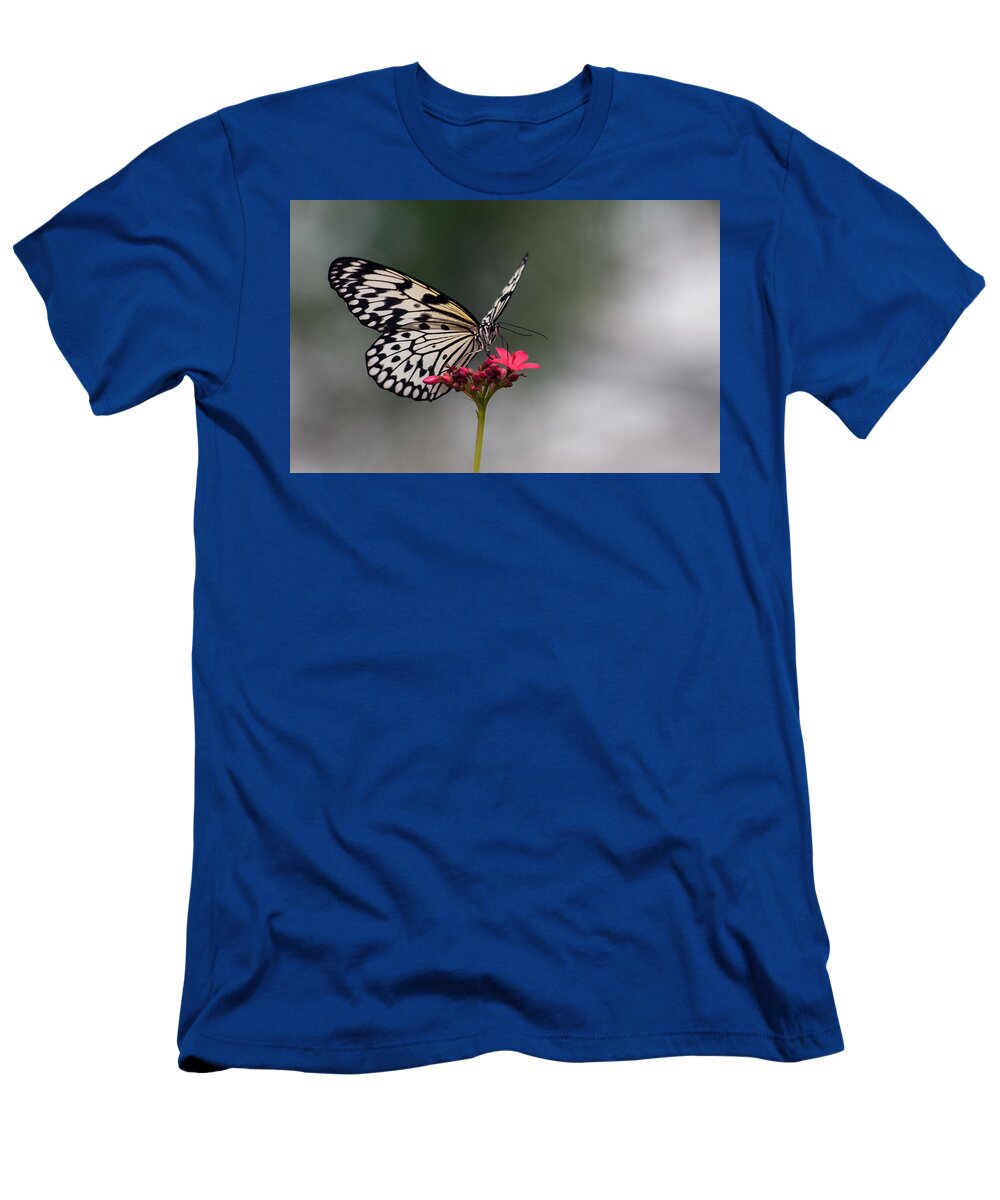 Paper Kite T-Shirt featuring the photograph Paper Kite Butterfly #2 by Tam Ryan