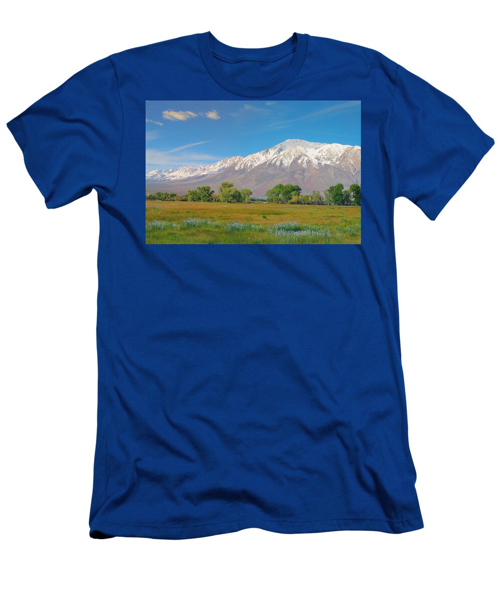 Mount Tom T-Shirt featuring the photograph Wild Irises under Mount Tom - Eastern Sierra Owens Valley California by Ram Vasudev
