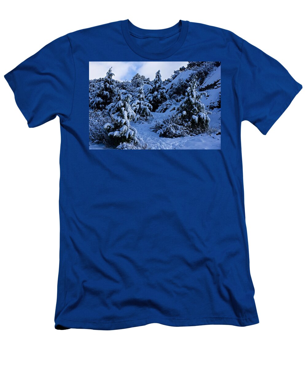 Winter T-Shirt featuring the photograph Winter in Arizona by Barbara Zahno