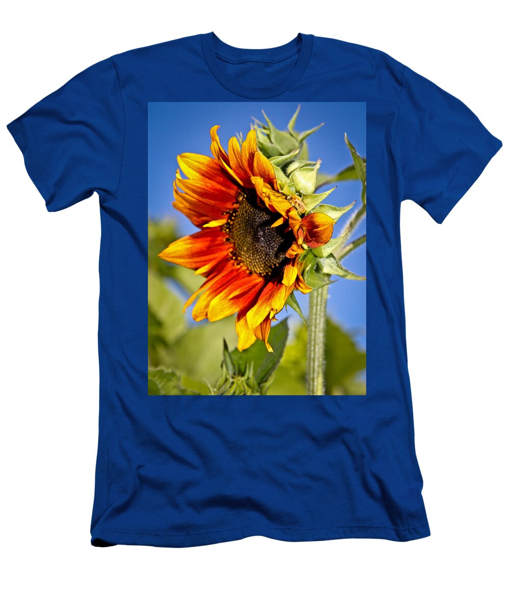 Sunflower T-Shirt featuring the photograph Yellow Orange Sunflower by Athena Mckinzie