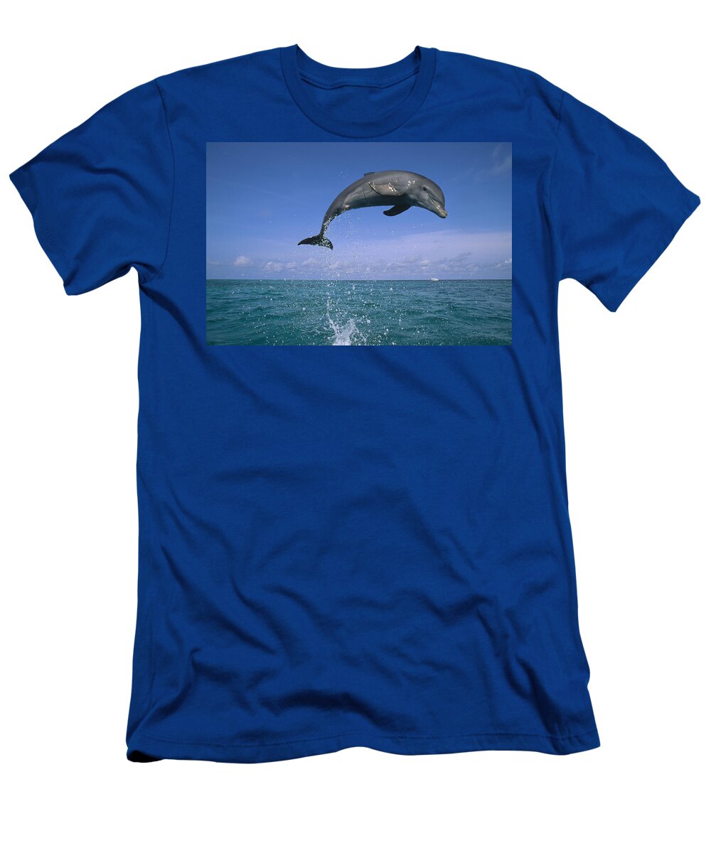 Mp T-Shirt featuring the photograph Bottlenose Dolphin Tursiops Truncatus #1 by Konrad Wothe