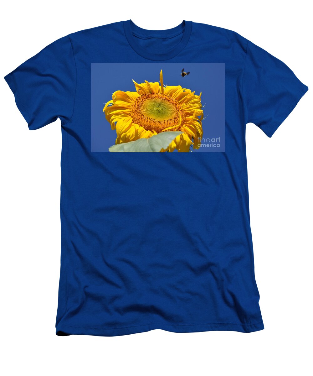 Sunflower T-Shirt featuring the photograph Coming in for Landing by Cheryl Baxter