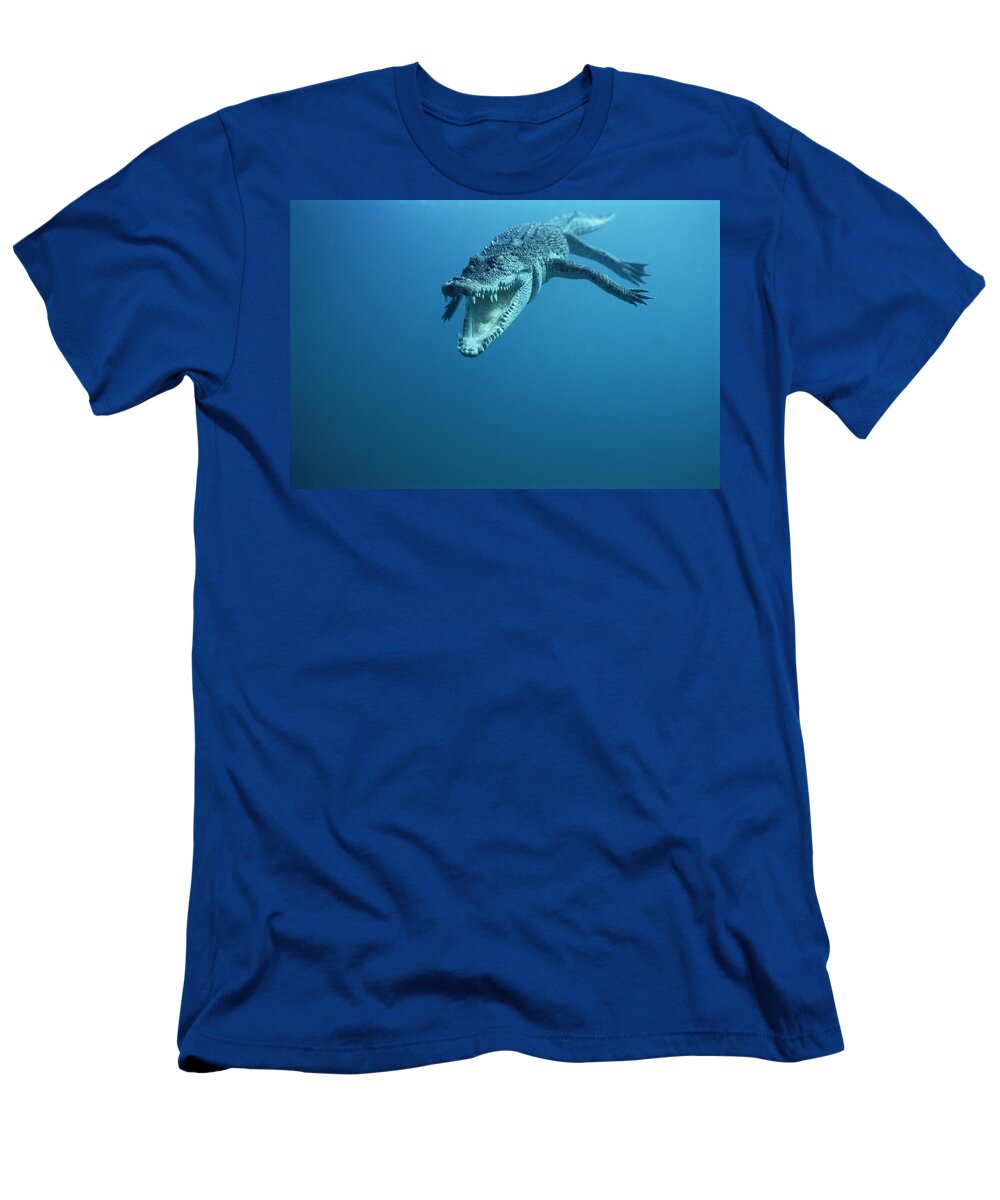 00700396 T-Shirt featuring the photograph Saltwater Crocodile Crocodylus Porosus by Mike Parry