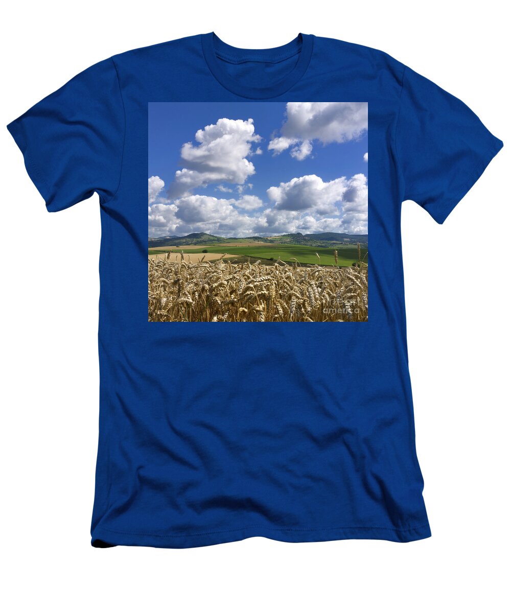 Agriculture T-Shirt featuring the photograph A field of barley . Auvergne. France by Bernard Jaubert