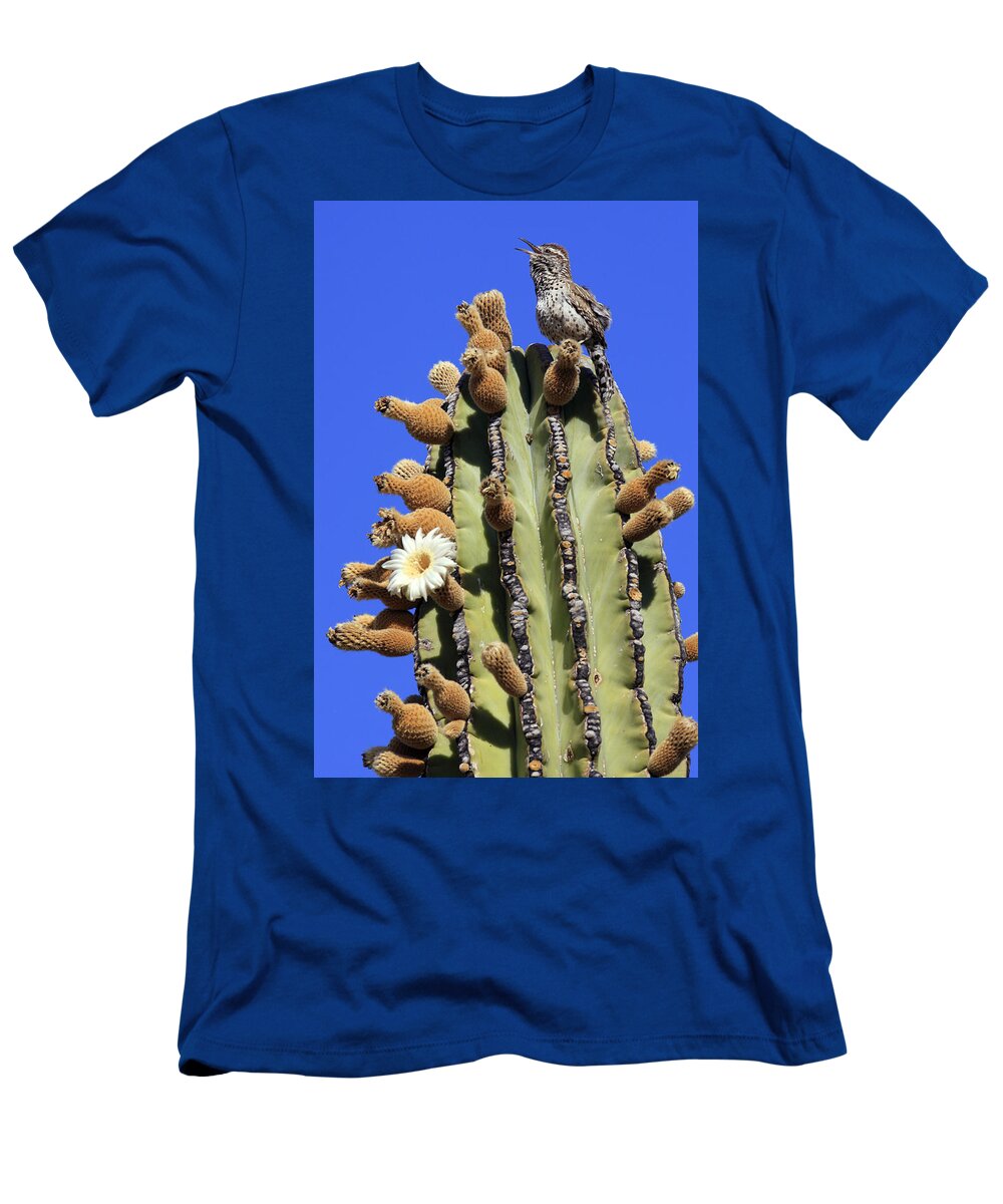 Mp T-Shirt featuring the photograph Cactus Wren Campylorhynchus by Cyril Ruoso
