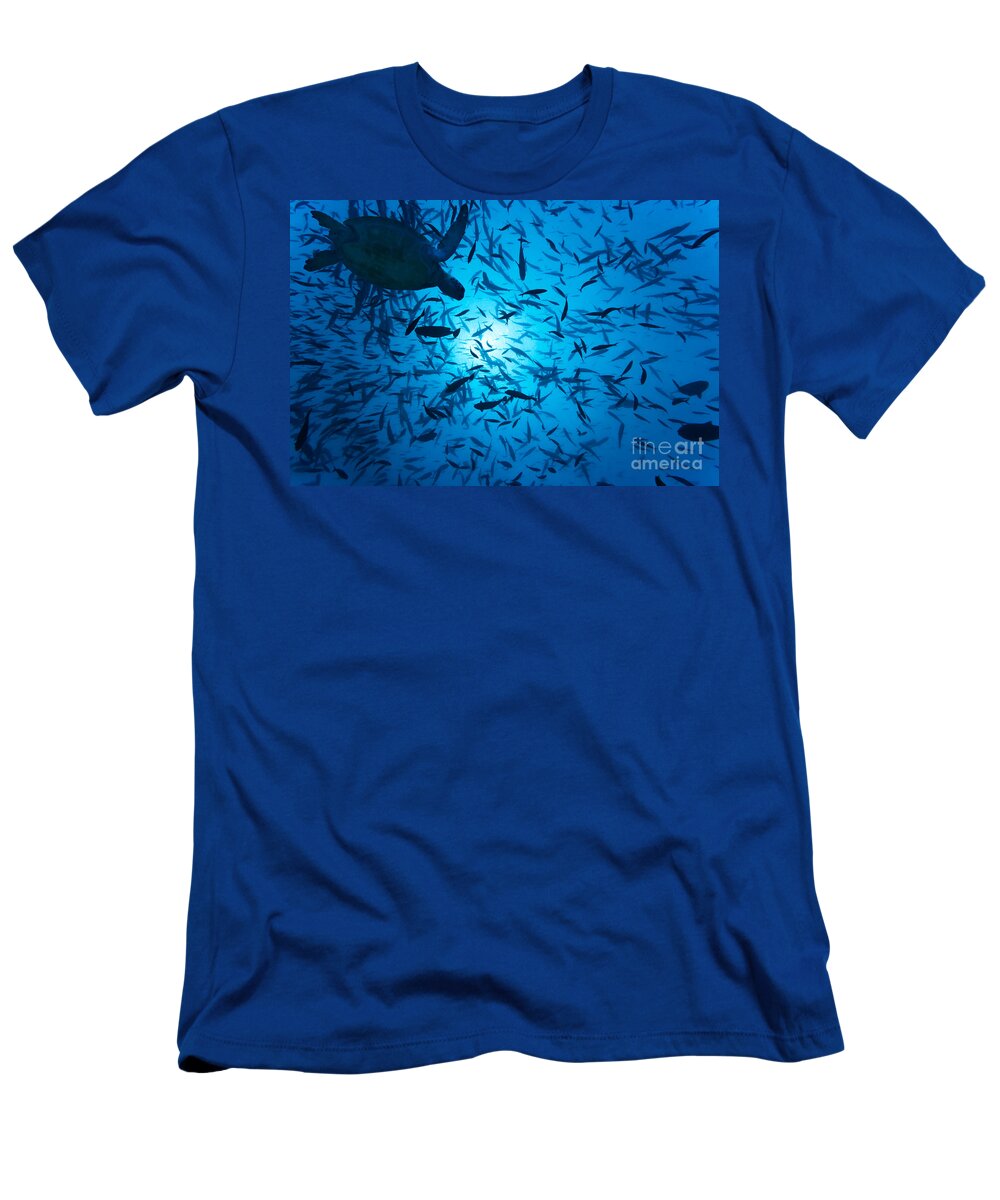 Underwater T-Shirt featuring the photograph Fishes and turtle by MotHaiBaPhoto Prints