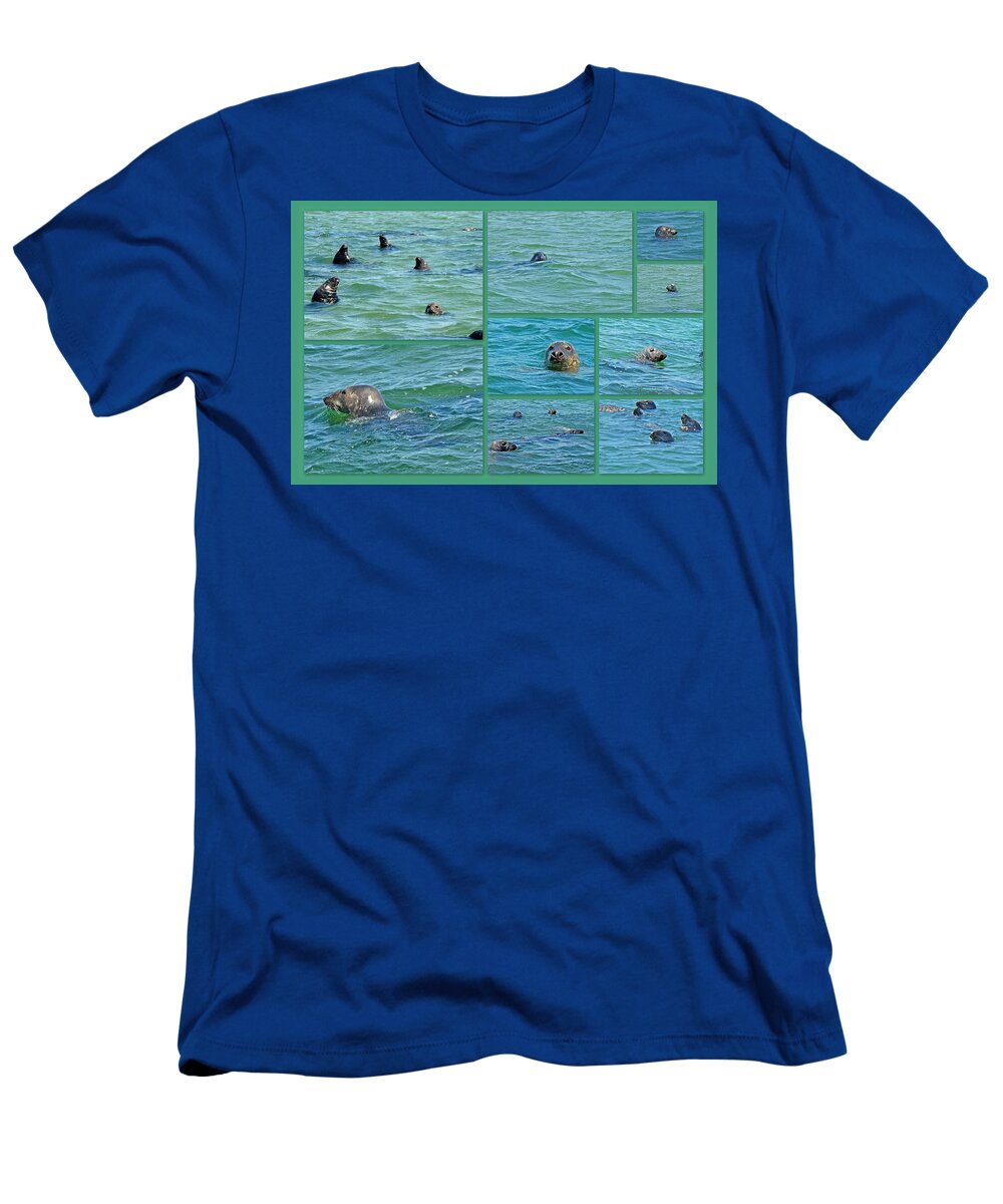 Seals T-Shirt featuring the photograph Gray Seals at Chatham - Cape Cod by Carol Senske