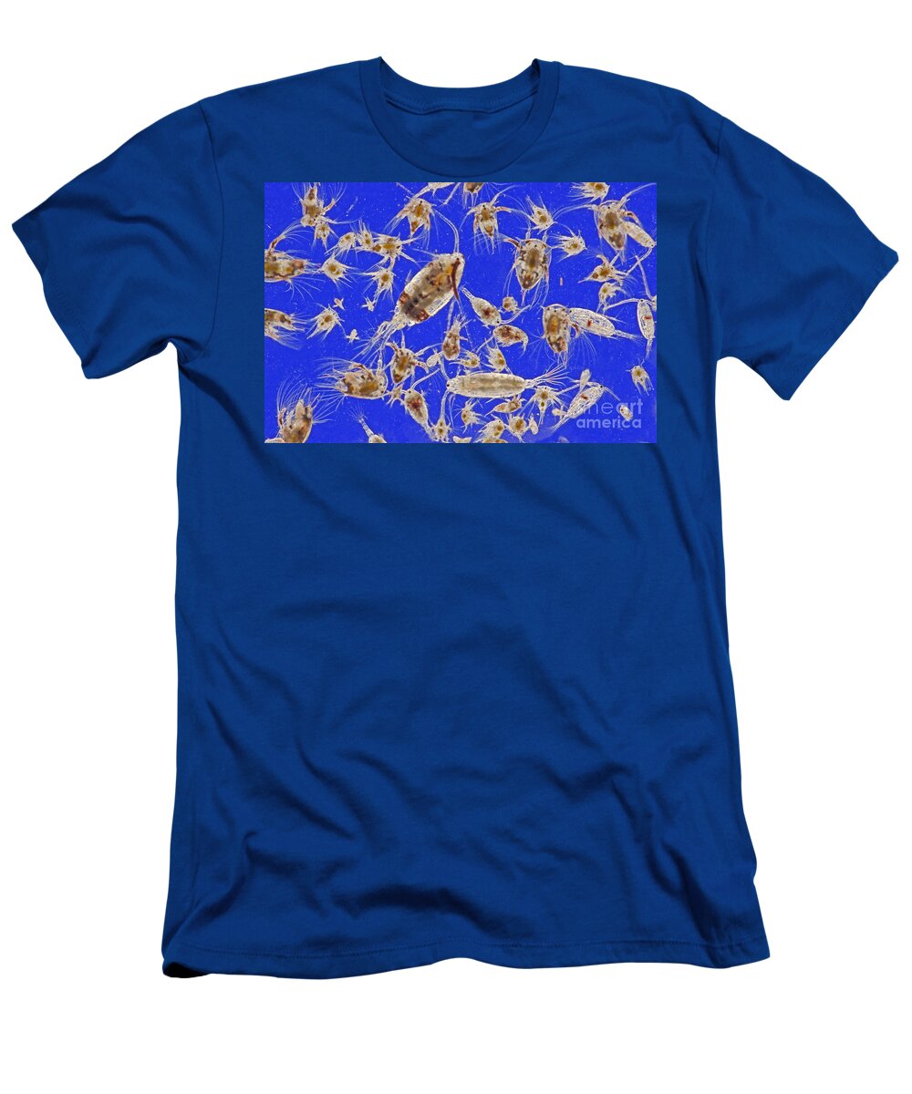 Histology T-Shirt featuring the photograph Live Marine Zooplankton by M I Walker