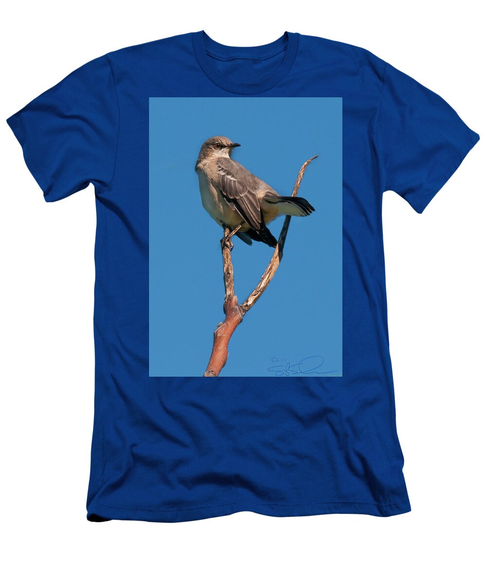 Mocking Bird T-Shirt featuring the photograph Mock One by S Paul Sahm