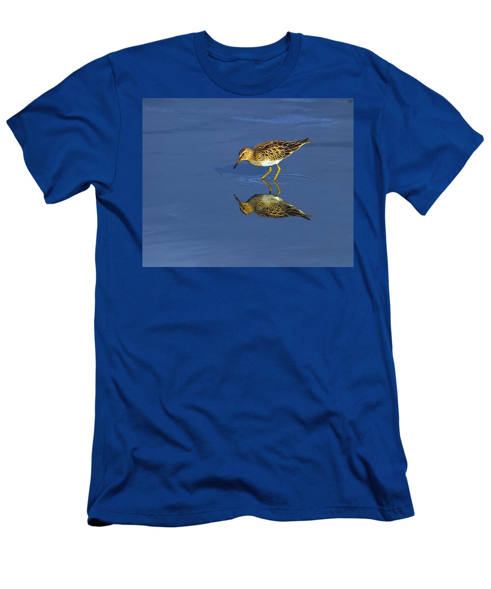 Pectoral Sandpiper T-Shirt featuring the photograph Reflecting Pectoral Sandpiper by Tony Beck