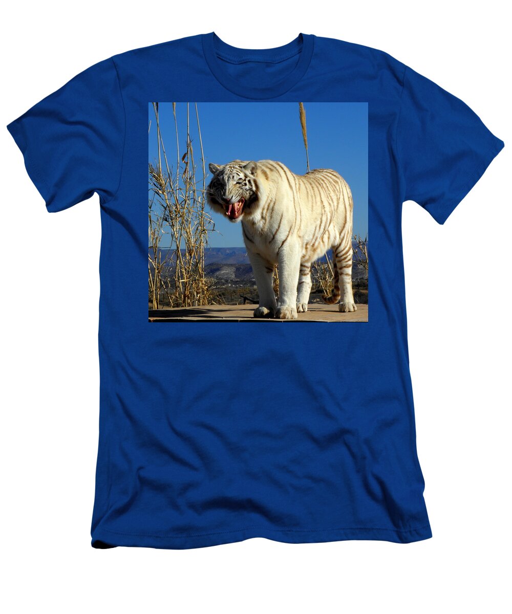 Tiger T-Shirt featuring the photograph Roar by Kim Galluzzo Wozniak