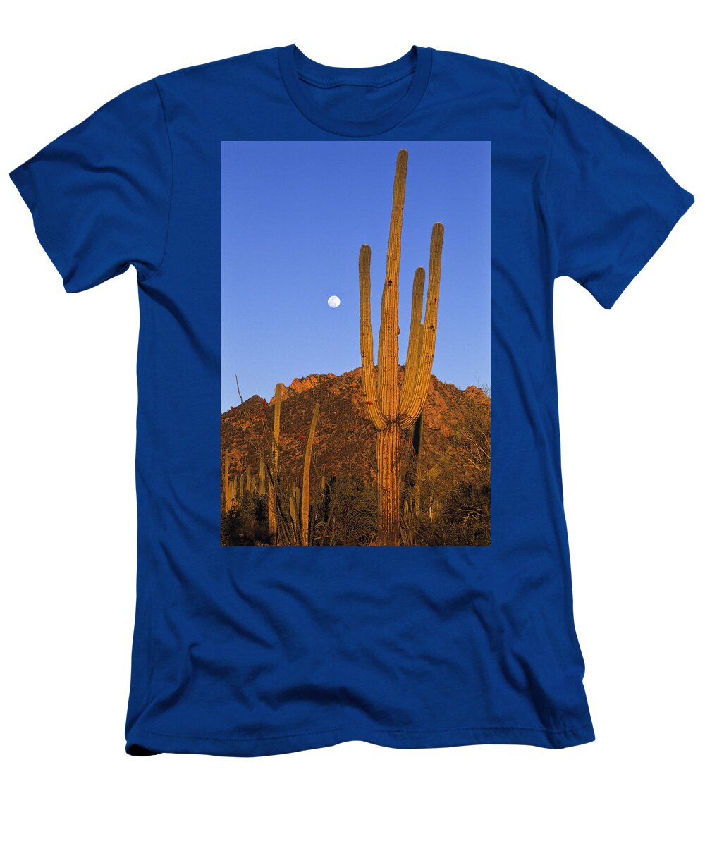 Mp T-Shirt featuring the photograph Saguaro Carnegiea Gigantea Cactus by Konrad Wothe