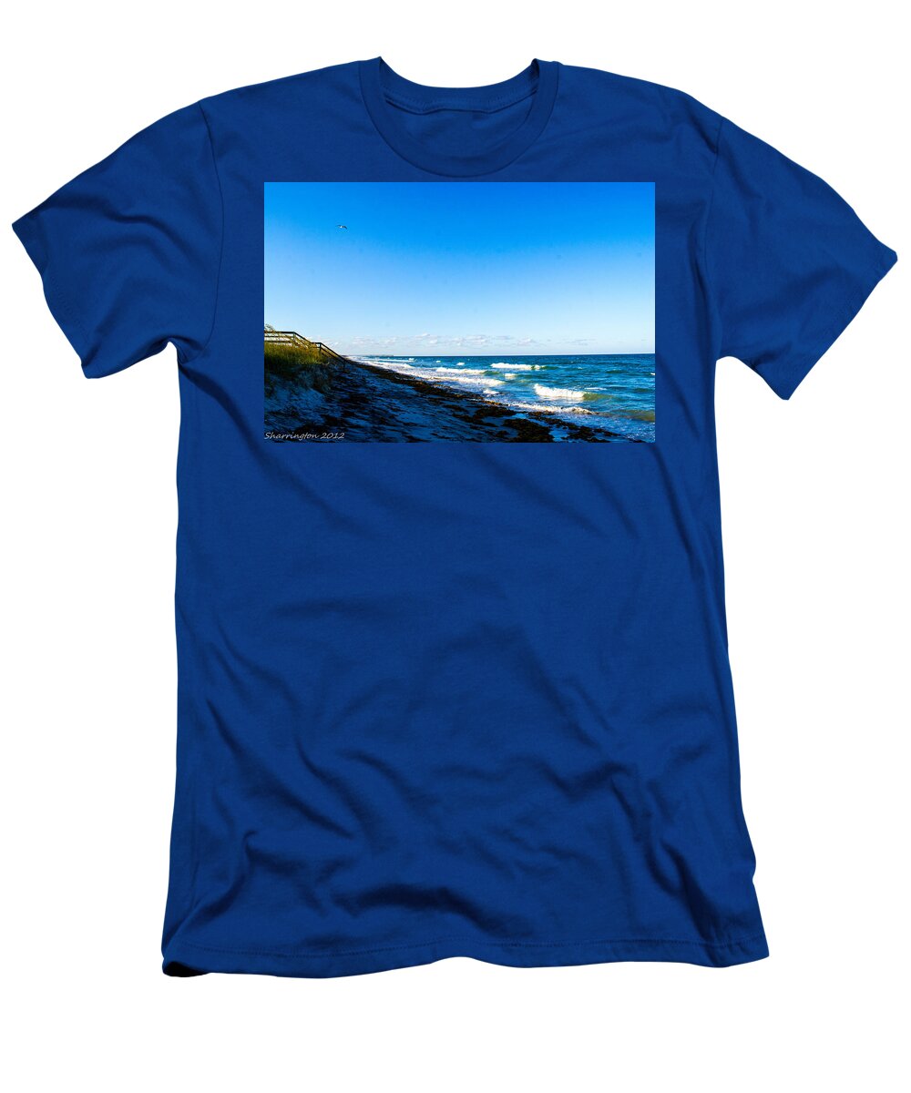 Ocean T-Shirt featuring the photograph Sea Weed by Shannon Harrington
