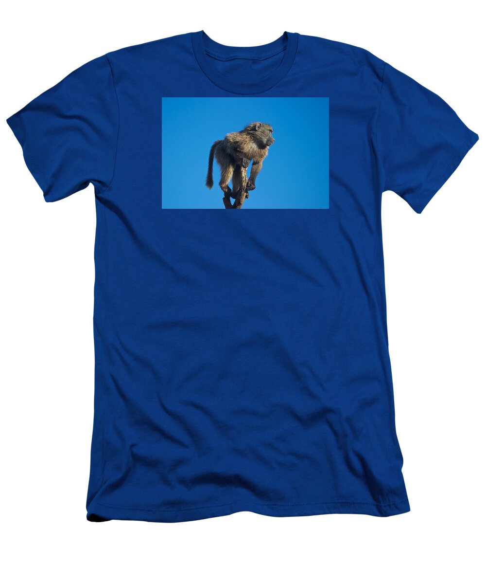 Baboon T-Shirt featuring the photograph Sentry Baboon Namibia by David Kleinsasser