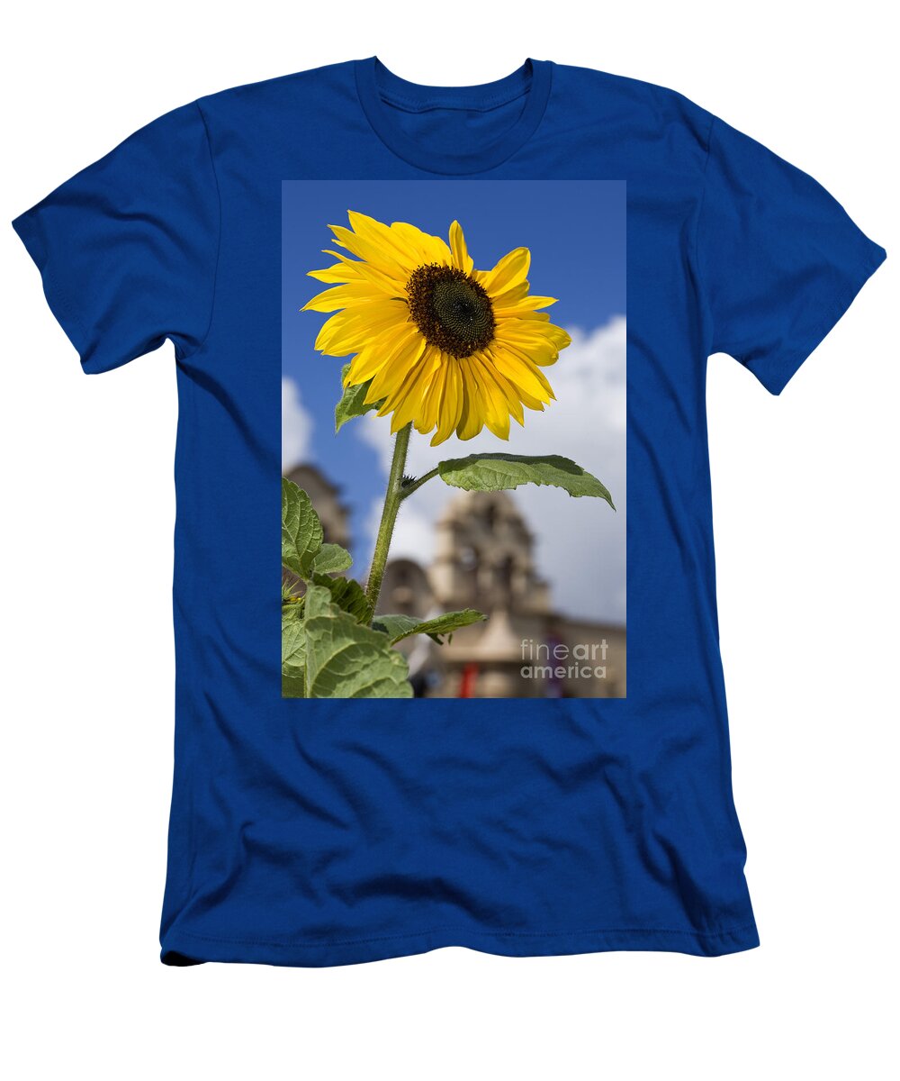Sunflower T-Shirt featuring the photograph Sunflower in Balboa Park by Daniel Knighton