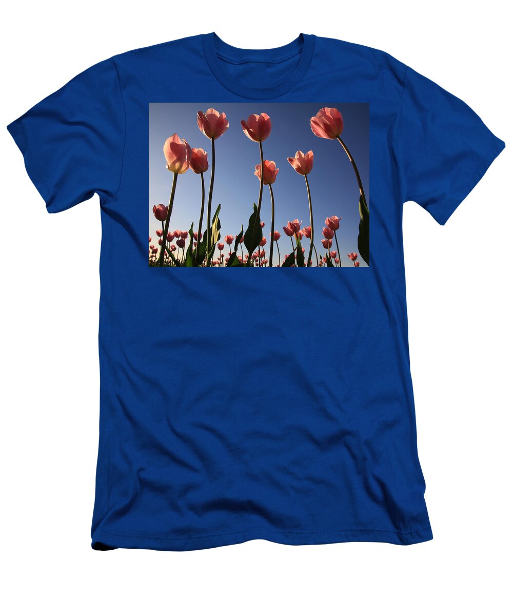 Flowers T-Shirt featuring the photograph Sunny Tulips by Steve McKinzie