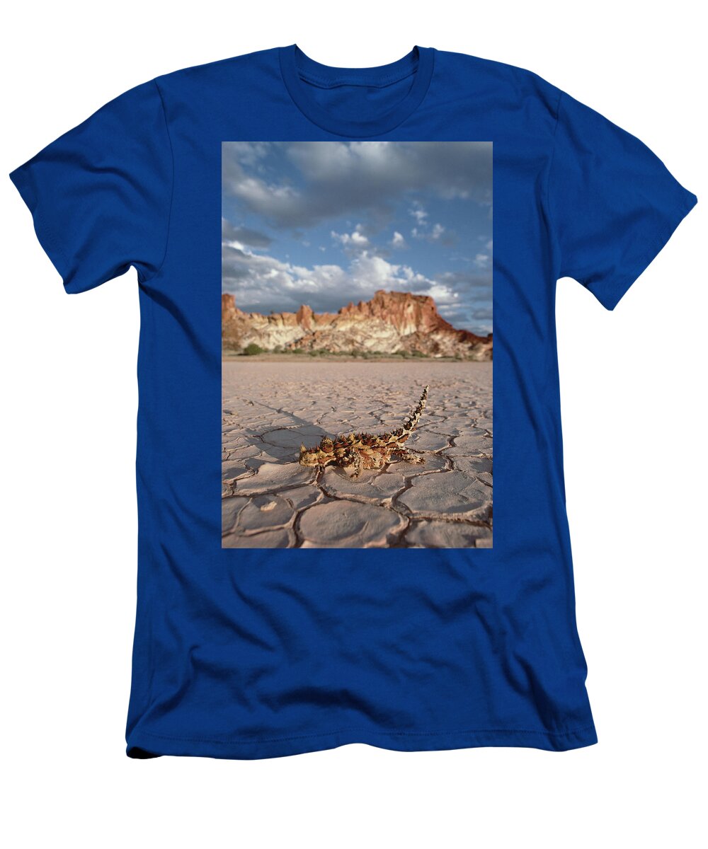 Mp T-Shirt featuring the photograph Thorny Devil Moloch Horridus Crossing by Gerry Ellis