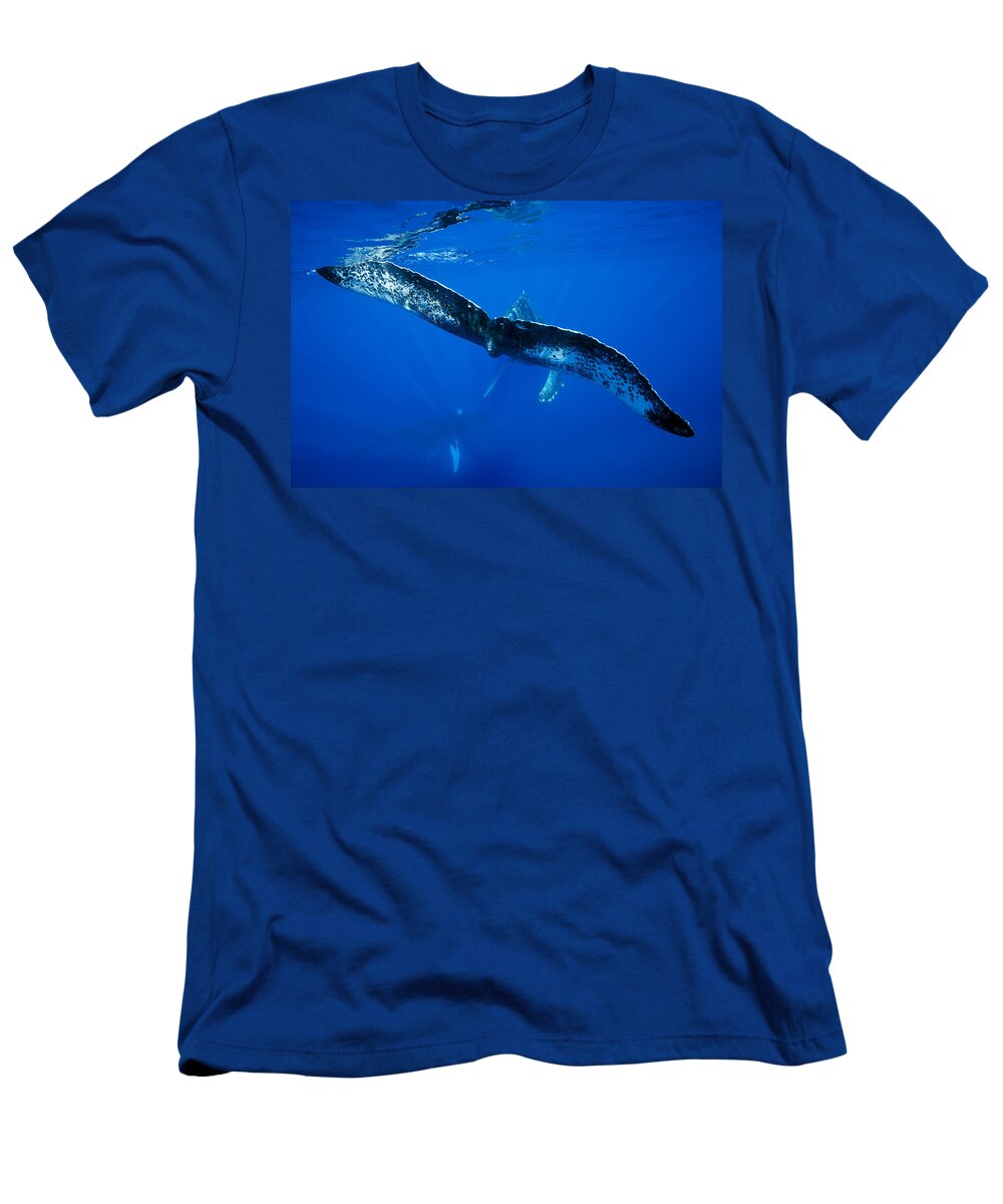 Adult T-Shirt featuring the photograph Whale Tail by Dave Fleetham