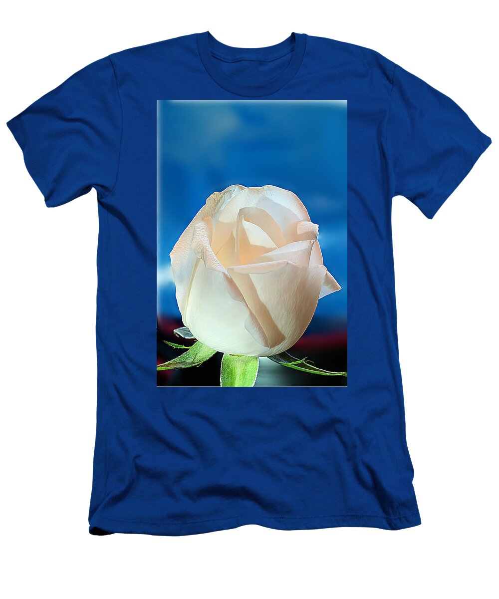 White Rose T-Shirt featuring the photograph White rose by Randall Branham