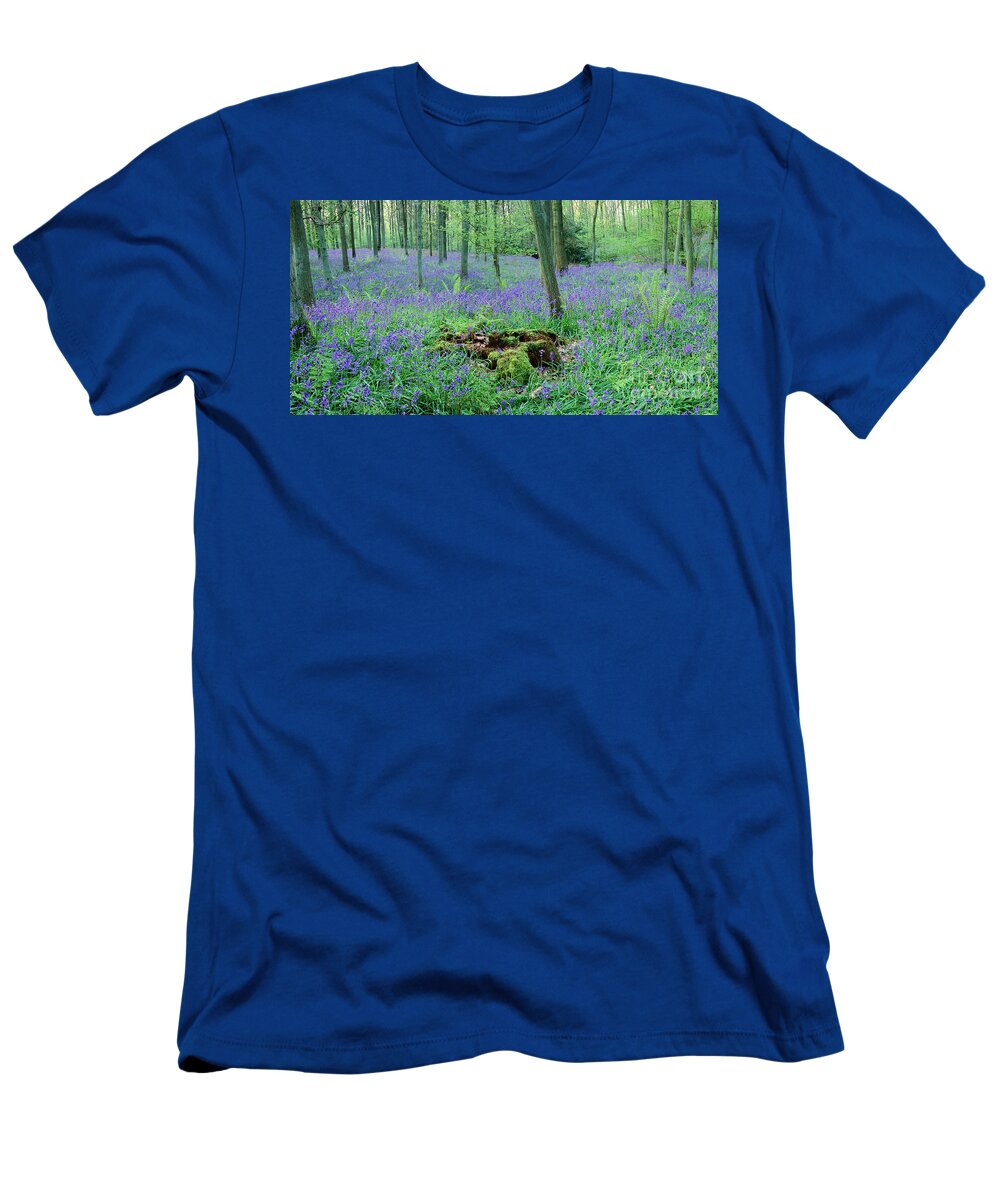 Bluebell T-Shirt featuring the photograph Bluebell woods panorama #1 by Warren Photographic