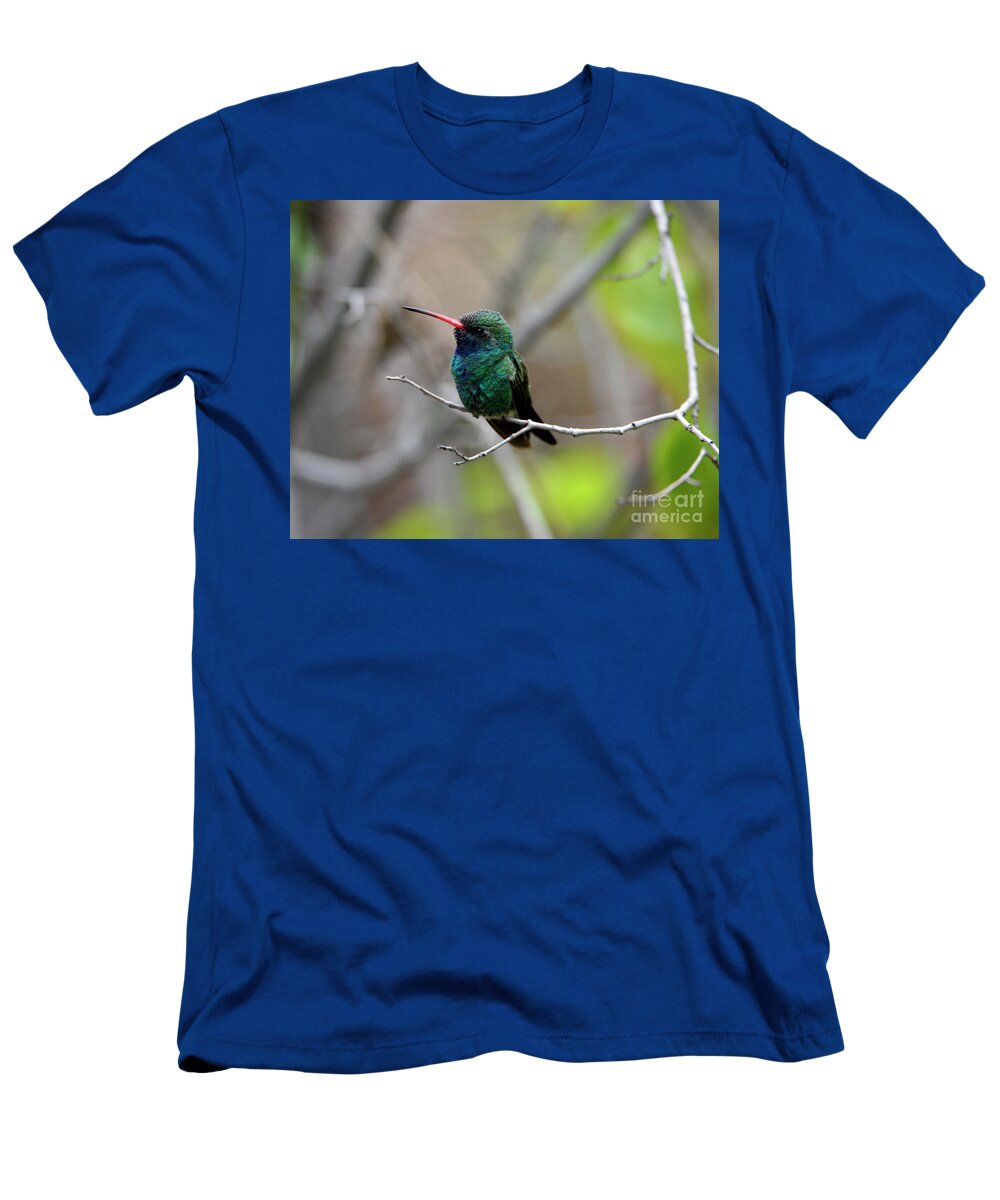 Denise Bruchman T-Shirt featuring the photograph Broad-billed Hummingbird #2 by Denise Bruchman