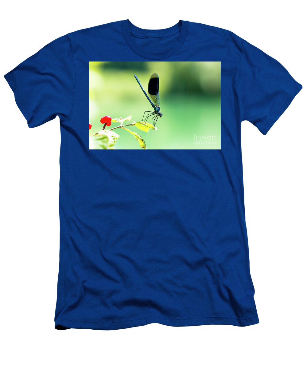 Countryside T-Shirt featuring the photograph Broad-winged Damselfly, Dragonfly by Amanda Mohler