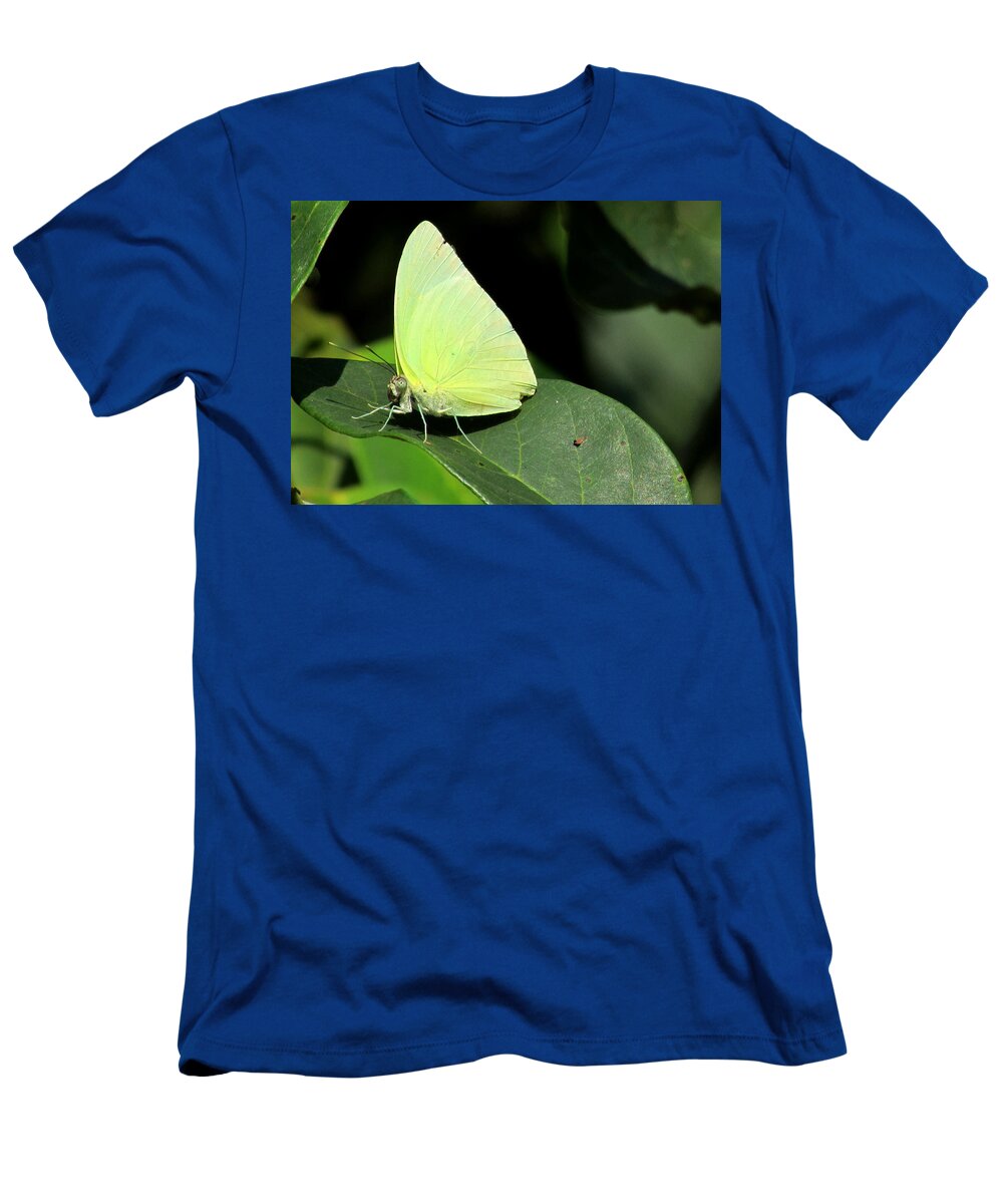 Animal T-Shirt featuring the photograph Butterfly #1 by Cesar Vieira