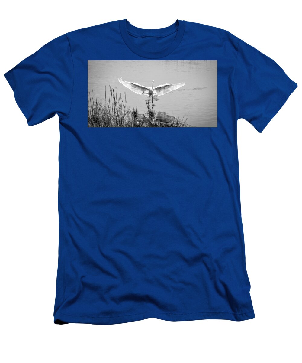 Bird T-Shirt featuring the photograph Great White Egret #2 by David Kay