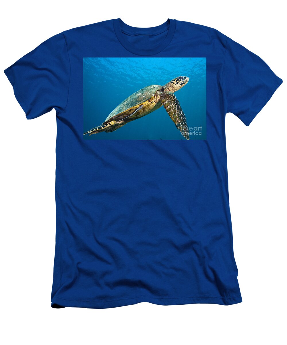 Adorable T-Shirt featuring the photograph Hawksbill Turtle #1 by Dave Fleetham - Printscapes